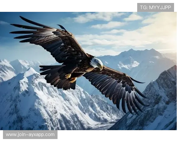 老鹰状态火热无敌：翱翔巅峰的力量之源